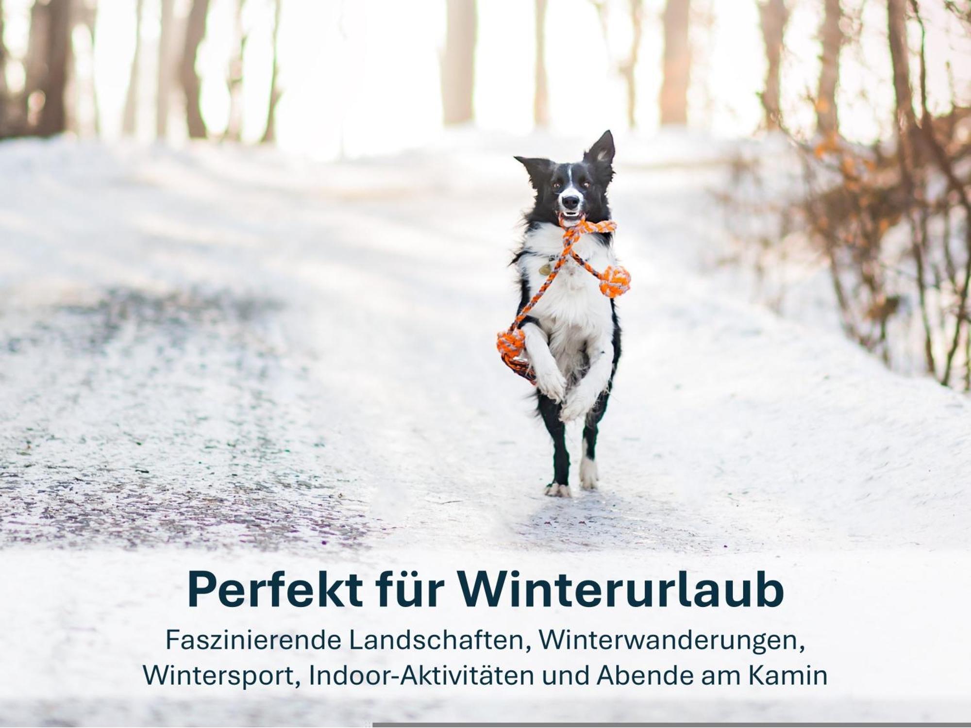 Ferienwohnung Ursel Heringsdorf  Bagian luar foto